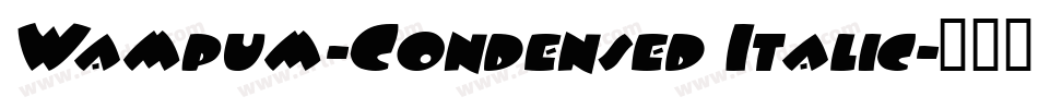 Wampum-Condensed Italic字体转换